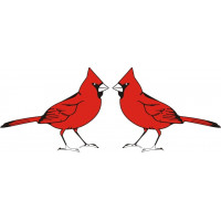 Cardinal Bird  