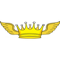 Cessna 310 The Flying Crown Aircraft Logo Decals