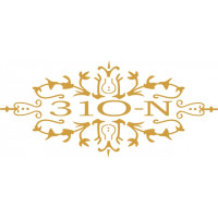 Cessna 310N Aircraft Logo 