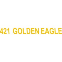 Cessna 421  Golden Eagle Aircraft 