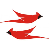 Cessna Cardinal Aircraft Logo,Emblem 