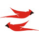 Cessna Cardinal Aircraft Logo,Emblem 