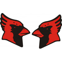 Cessna Cardinal Aircraft Logo,Emblem 