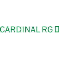 Cessna Cardinal RG II Aircraft Script,Emblem 