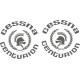 Cessna Centurion Aircraft Logo 