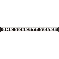 Cessna One Seventy Seven Aircraft Logo 