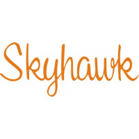 Cessna Skyhawk Aircraft Logo 