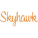 Cessna Skyhawk Aircraft Logo 