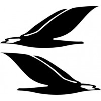 Cessna Skyhawk Aircraft Logo