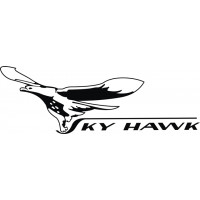 Cessna Skyhawk Aircraft Logo 