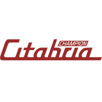 Champion Citabria Aircraft Graphics Logo