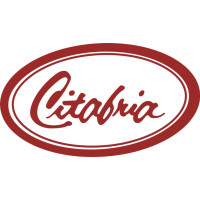 Citabria Aircraft Logo