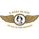 Corben Baby Ace Aircraft Logo 