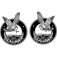 Curtiss Seahawk Aircraft Logo 