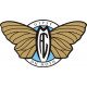 De Havilland Gipsy Moth Aircraft Logo 