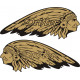 Kawasaki Drifter Indian  Motorcycle Tank Logo Decals