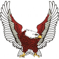 Eagle Emblem Decals