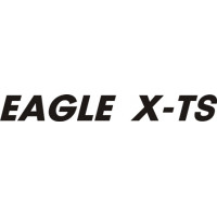 Eagle X-TS Aircraft Logo 