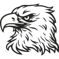 Eagles Head Aircraft Miscellaneous Stuff Logo 