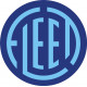 Fleet Aircraft Logo 