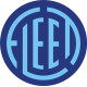 Fleet Aircraft Logo 