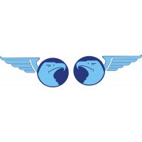 Fleewings Aircraft Logo 