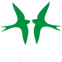 Flying Swift Aircraft Logo 