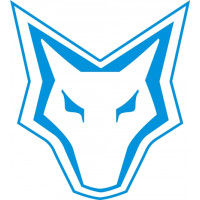Foxbat Aircraft Logo 