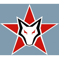 Foxbat Aircraft Logo