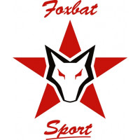 Foxbat Sport Aircraft Logo