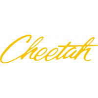 Grumman Cheetah Aircraft Logo 