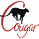 Grumman Cougar Aircraft Logo 