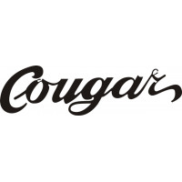 Grumman Cougar Aircraft Script  