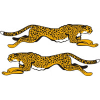 Grumman Leaping Cheetah Emblem  