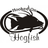 Hooked On Hogfish Salt Water Fish Decal