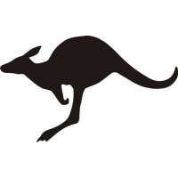 Kangaroo Animal 