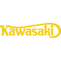 Kawasaki Motorcycle Logo Decals