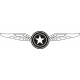 Martin U.S.A Wings Aircraft Logo,Vinyl Decal 