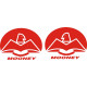 Mooney Aircraft Logo 