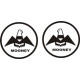 Mooney Aircraft Logo 