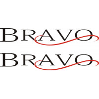 Mooney Bravo Aircraft Logo 