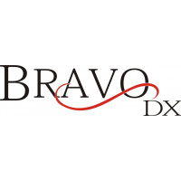 Mooney Bravo DX Aircraft Logo,Vinyl Graphics,Decal 