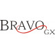 Mooney Bravo GX Aircraft Logo 