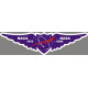 Naca 1915, Nasa 1990 Logo 