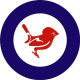 New Zealand Military Tomtit Insignia Aircraft  Roundel