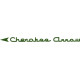 Piper Cherokee Arrow Aircraft Logo Decal