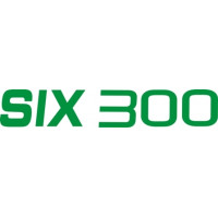 Piper Cherokee Six 300 Aircraft Logo 