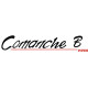 Piper Comanche B Aircraft Logo 