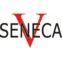 Piper Seneca V Aircraft Logo 