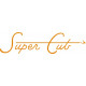 Piper Super Cub Aircraft Logo 